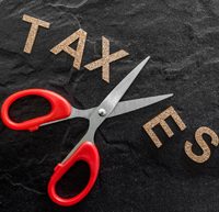 polk-cad-has-over-taxed-141-bayberry-dr-by-86